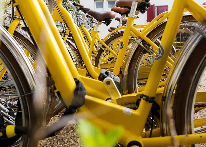 Jo&joe Hossegor Vandrarhem *