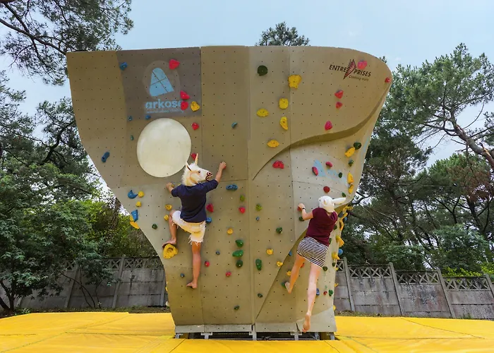 Jo&joe Hossegor Soorts-Hossegor