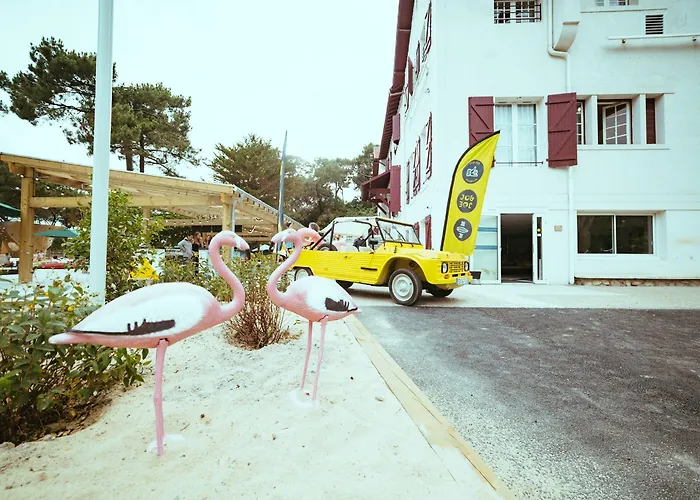 Jo&joe Hossegor Hostel Soorts-Hossegor