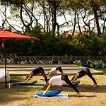 Jo&joe Hossegor Hostel Soorts-Hossegor
