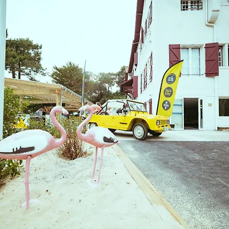 Jo&joe Hossegor Hostel Soorts-Hossegor